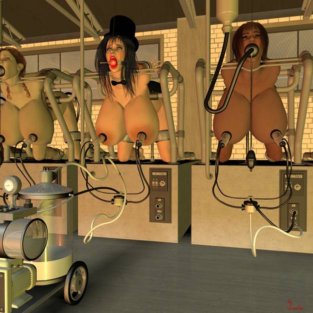 Sex with trannies New york shemale parties