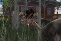 image_thumb