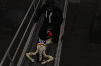 image_thumb