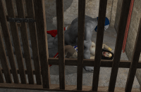 image_thumb
