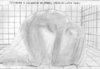 image_thumb