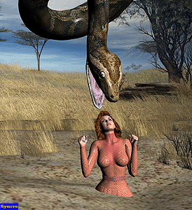 image_thumb