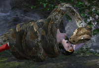 image_thumb